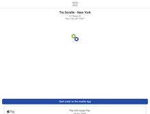 Tablet Screenshot of newyorktresorelle.com